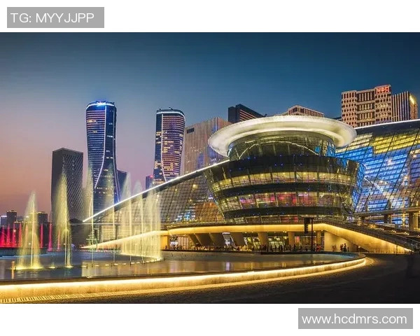 杭州排球队实力飙升创新高成就引发全国关注与期待