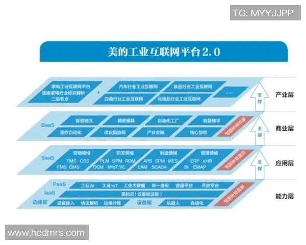 杭州排球队的转型之路：从传统强队到现代化竞技新标杆