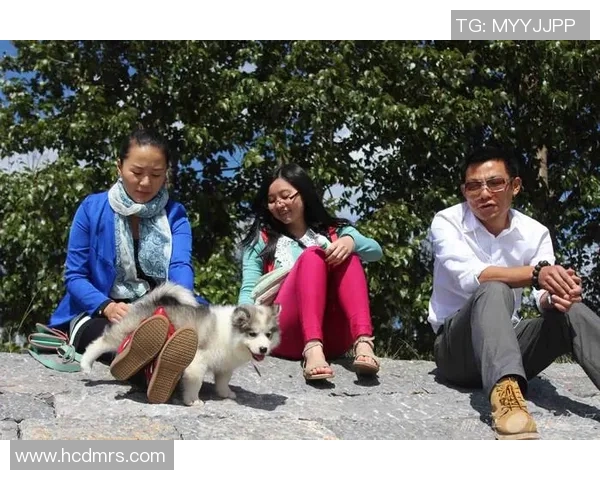 付豪的奋斗历程与成功秘诀揭秘，激励年轻人追梦的真实故事